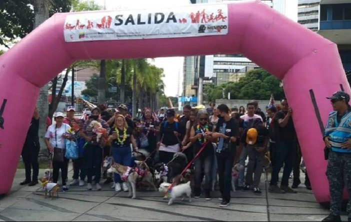 Misión Nevado celebra su noveno aniversario con una caminata para las mascotas bit.ly/3XuMiX2 #MaestrosDeLaPatria