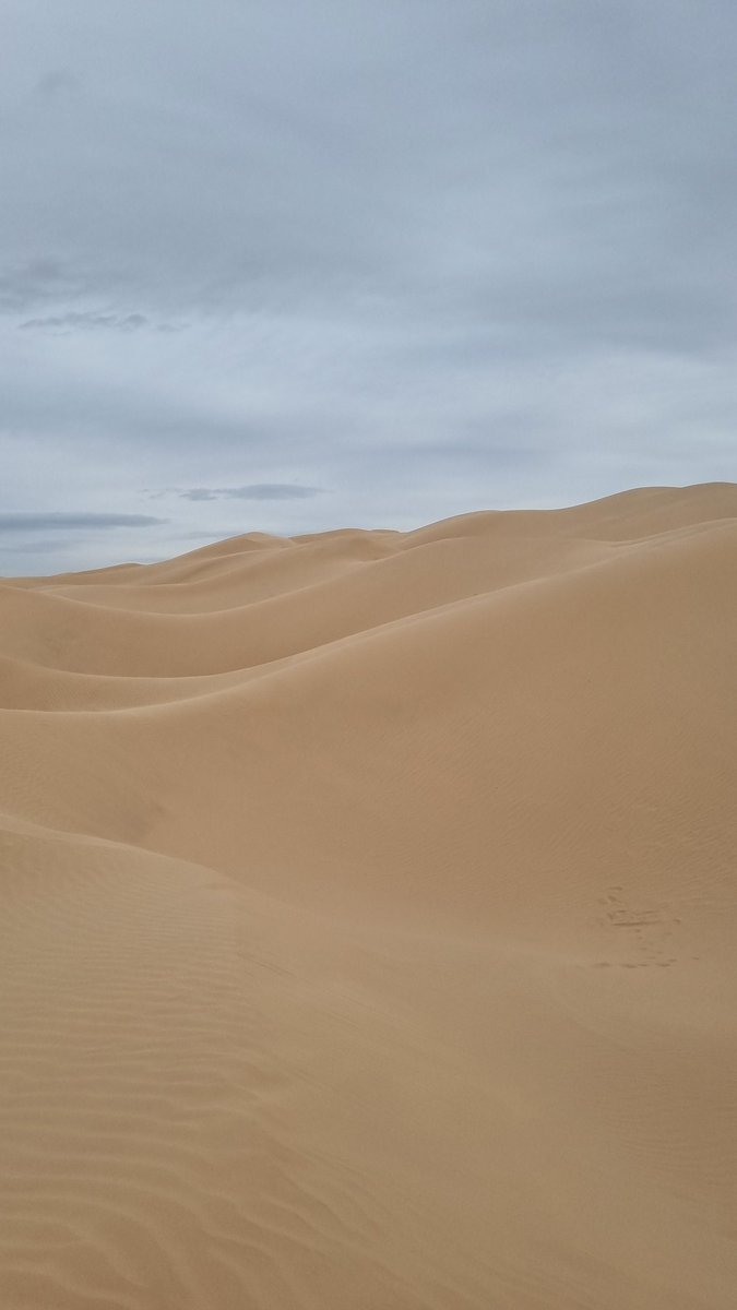 PameDVS's tweet photo. Las dunas de #cuervitos #mexicali #sandboarding
Paisajes que se disfrutan. https://t.co/0vraw6FYPF
