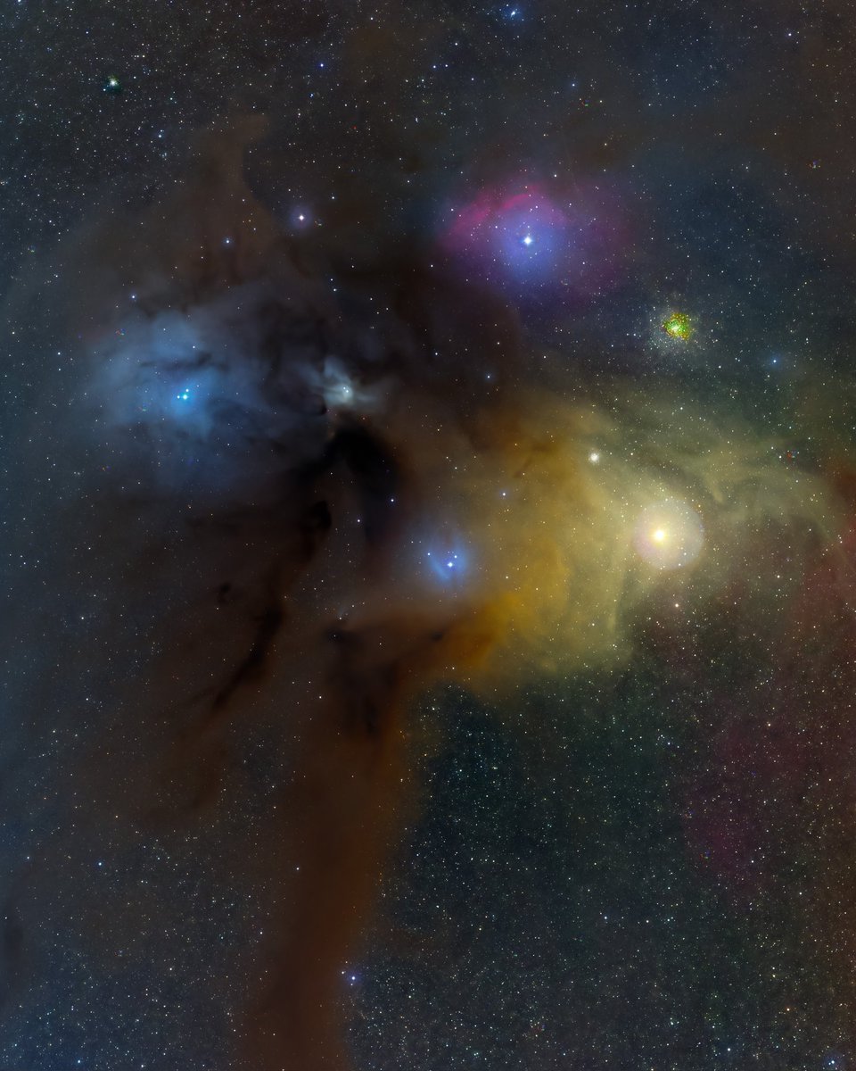 duttaniruddha12's tweet image. Rho Ophiuchi nebula complex.

Data from @telescope.live  El Sauce Observatory 🇨🇱 
📸 Nikon 200 f/2 with 300 sec subs in RGB.

Processed at home in rainy 🇧🇪 using
#Deepskystacker
#Photoshop with astronomy tools V1_6_2 + gradient xterminator
Starnet++ #Astrophotography
