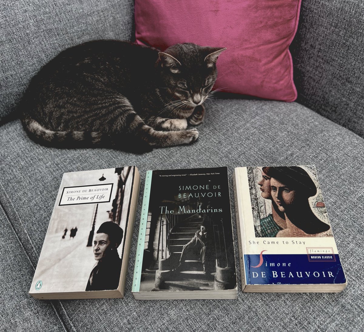 My favourite Simone de Beauvoir novels, looked after by Petra. #classicbooks, #readersoftwitter, #frenchliterature, #writersoftwitter, #BookRecommendations, #booklover, #booktwt, #goodreads, #literature, #bookstoread, #bookworm, #BookTwitter.