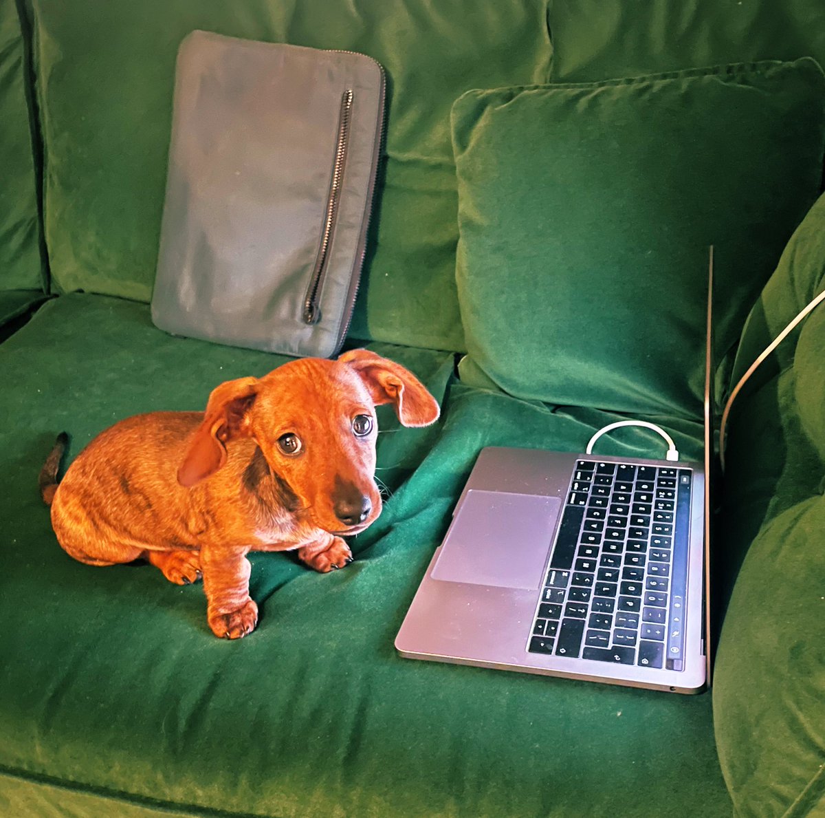 Chris Wincup tweet media