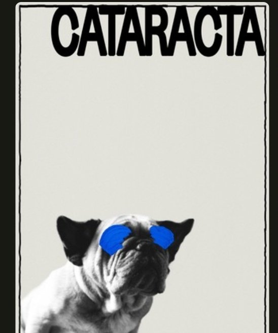 Abrik19's tweet photo. Chulada :3 #MyFrenchFilmFestival #cataracta #GraciasPorElBuenCine https://t.co/9cYpyOwt8m