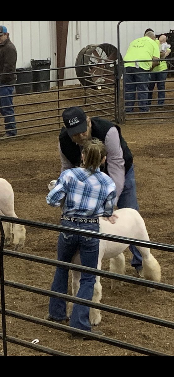 jech_darcy's tweet photo. Got to go to a local sheep show yesterday. Miss Adalynn McPhail, Clinton 4H was busy showing 5 different sheep. These students are so poised, confident and skilled. Clearly much time and effort is going into their projects. These rural common ed products are serving us all proud! https://t.co/usAlojrLGd