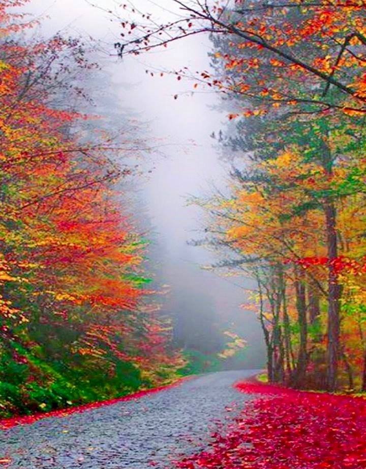 Rod_Keyes's tweet photo. Trust in the Lord with all your heart, And lean not on your own understanding; In all your ways acknowledge Him, And He shall direct your paths.
Proverbs 3:5-6 https://t.co/8nRpFD8jia
