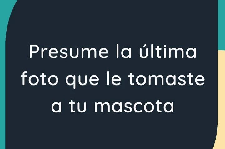 ℙ𝕆ℝ𝕆𝕋𝔸🐾🐈🌙 tweet media