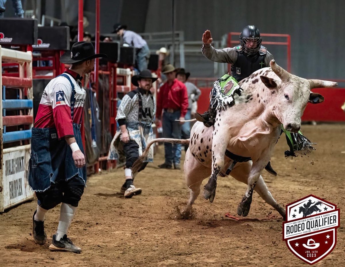 SA StockShow Rodeo tweet media