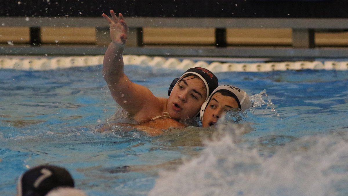 USA Water Polo tweet media