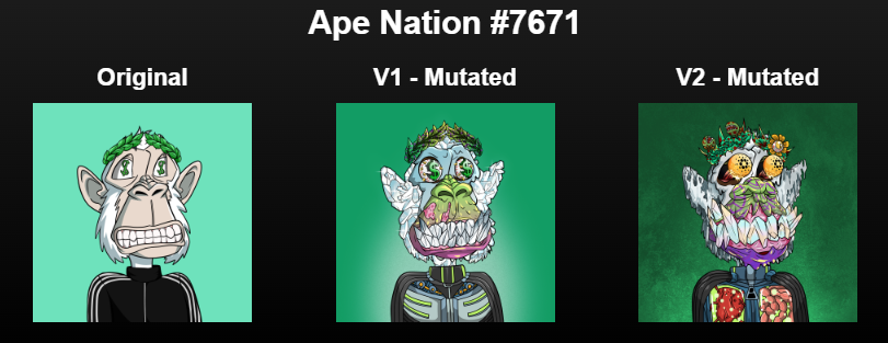 vikingstray's tweet image. just minted 6 v1 OGs for half the price due to $nation rewards from Mutants labs used to offset the ada price
and now I minted v2s to complete another set of 3's. 
#LFG #mutationnation 
Will restake to Mutants Labs to get more $nation