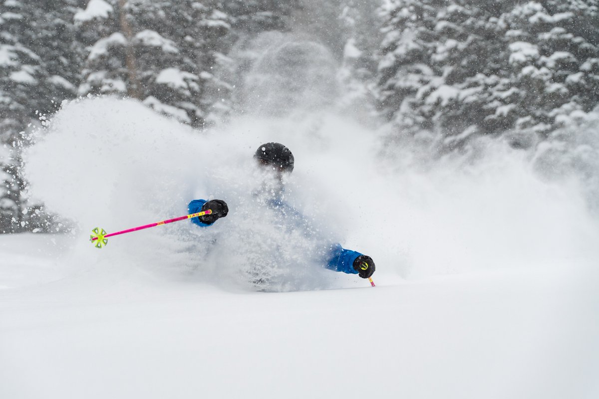 Snowbird tweet media