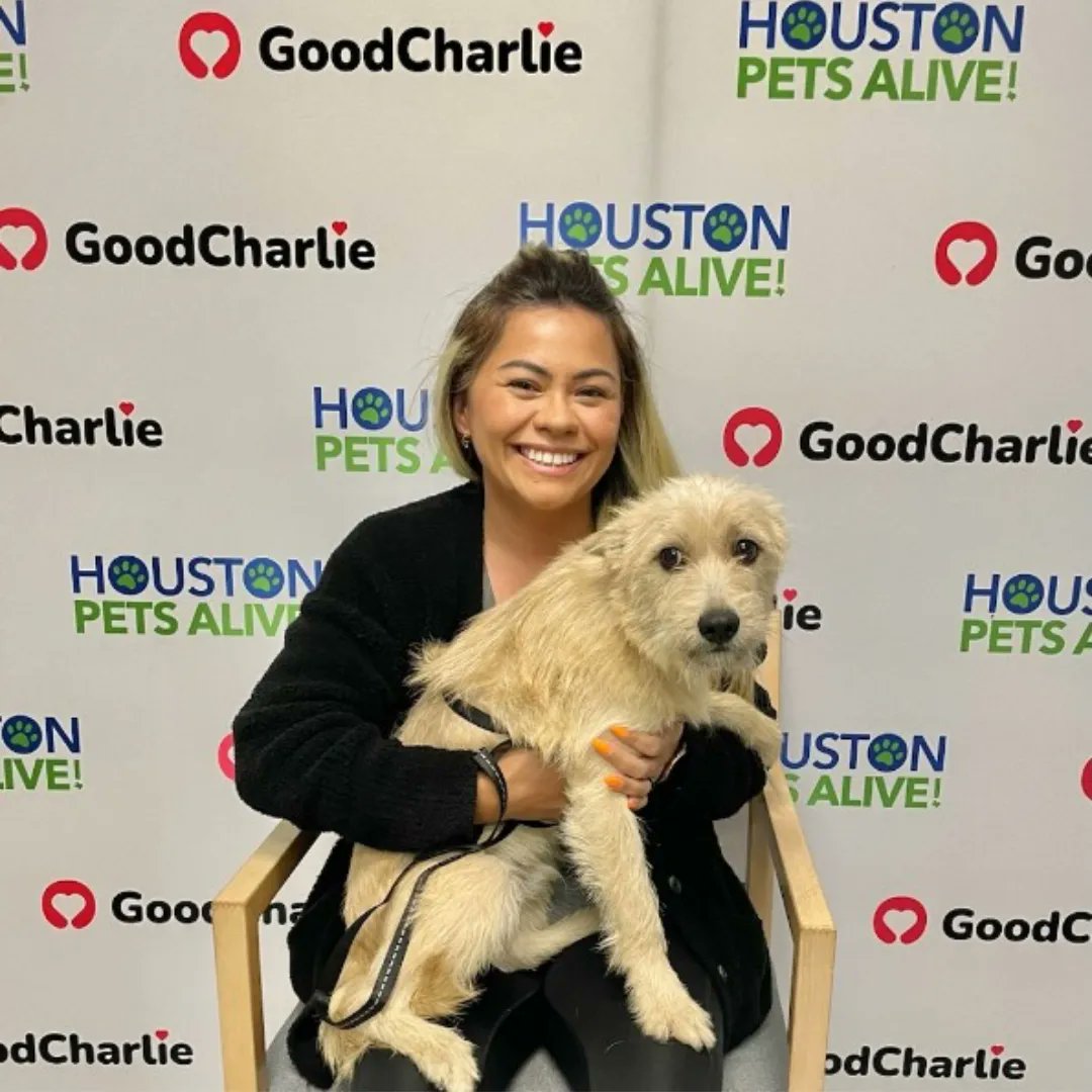 We love a good comeback story – Pretzel Stick and Graham Cracker, two pups saved by the @HoustonSPCA from a hoarding situation have found their forever home, along with Peter Pan! We're so thrilled to see these pups find their perfect families!