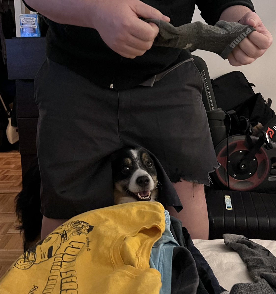 kpgalligan's tweet photo. Helping with the laundry https://t.co/GU3iKvS5C5