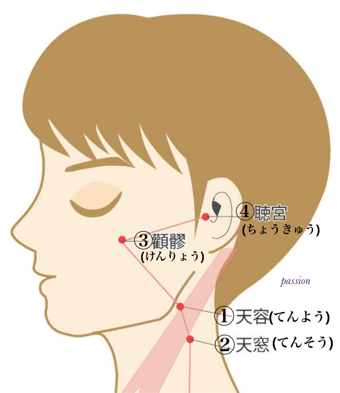 髪が頭のツボで甦った 髪が頭のツボで甦った 髪が頭のツボで甦った