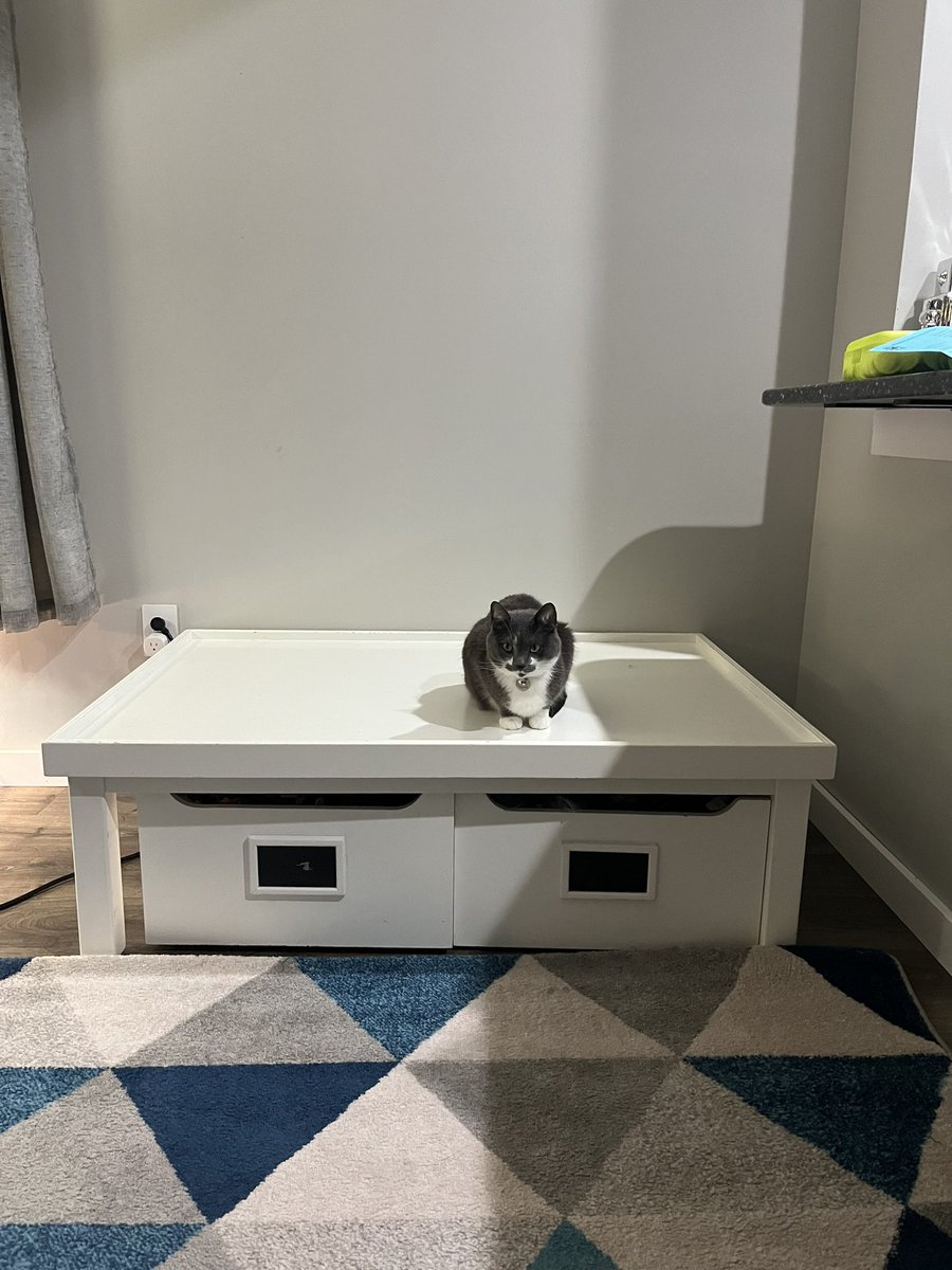 BurtyButt's tweet image. The Christmas tree is gone. There is nowhere to hide. 😒