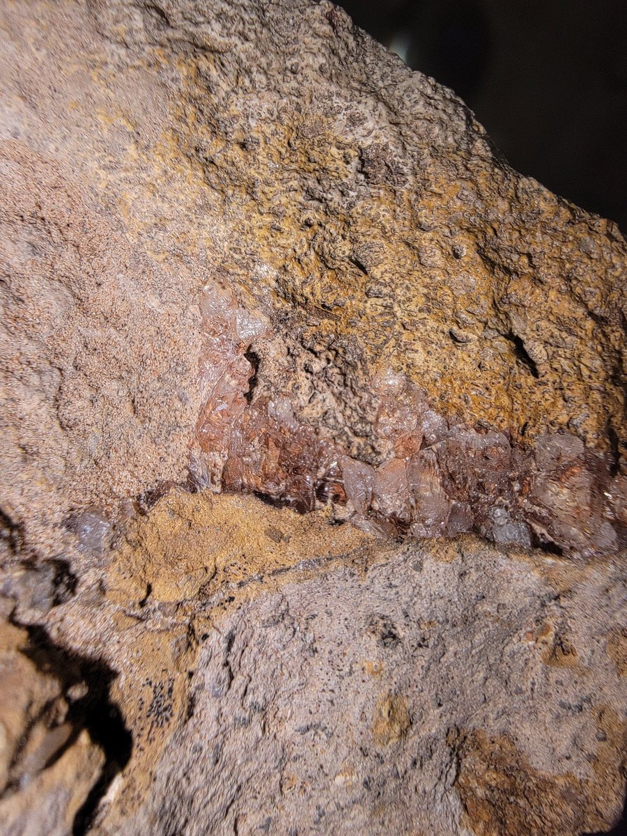 urowheel's tweet photo. A few of my favorites from yesterday's rock hunt. #Rocks #RockStar #fossils #NewMexico #gooutsideplease #rockhunting #rockhounds #fotd https://t.co/l8hytoSnt9