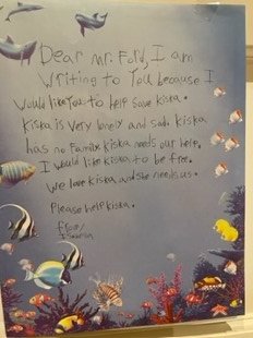 bayviewglenps1's tweet photo. We have mailed our Grade 1 letters to the Premier of Ontario asking him to help free Kiska. We are anxiously awaiting his response!!!! #freekiska #animaljustice #zoocheck #humanecanada https://t.co/8g53OCWmUW