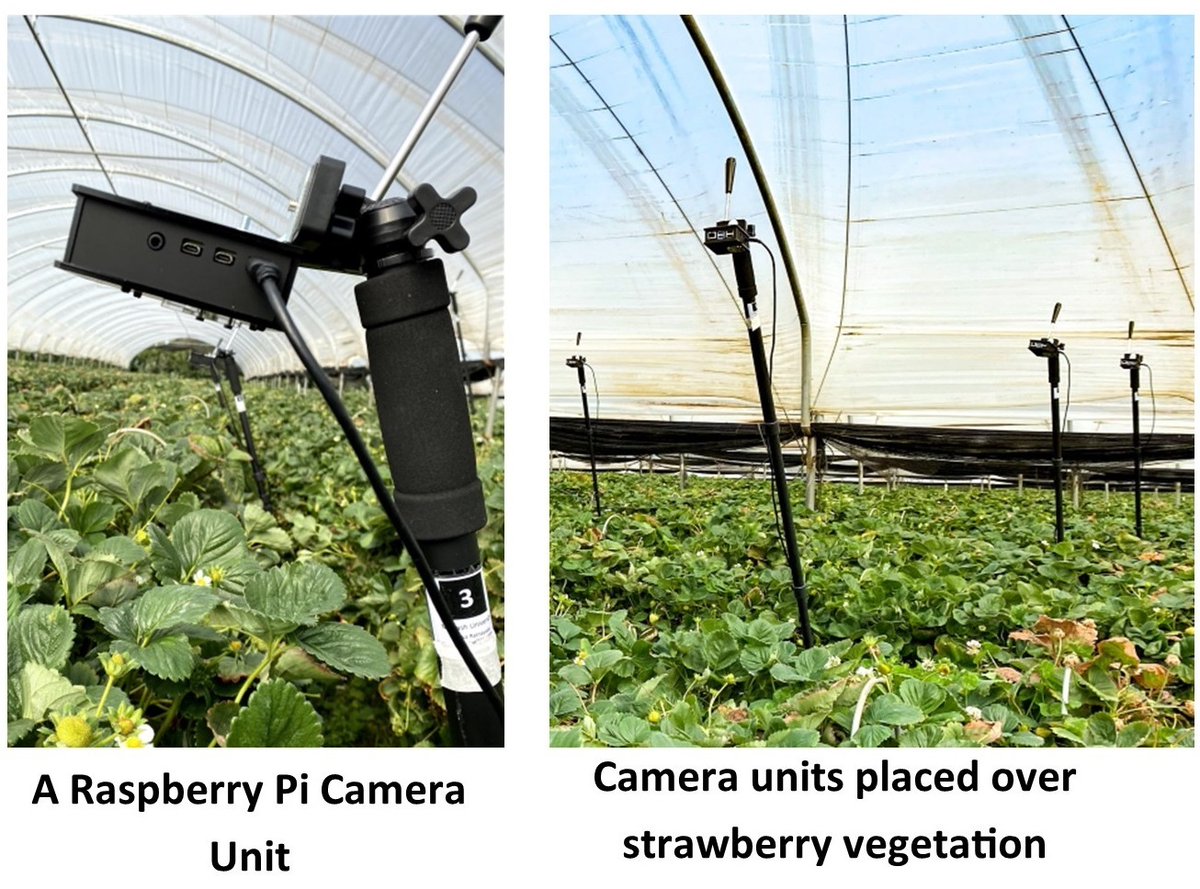 Malika Ratnayake (@malikaratnayake) on Twitter photo We present an automated pollination monitoring system comprising <a href="/Raspberry_Pi/">Raspberry Pi</a>-based multipoint video capture 🎥, multi-species insect tracking 🐝🦋🦟🪰 and pollination behaviour analysis 📊.
Insect tracking software: github.com/malikaratnayak…
<a href="/EdgeImpulse/">Edge Impulse</a> <a href="/WILDLABSNET/">WILDLABS Community</a> <a href="/AIforGood/">AI for Good 🇺🇳 #AIforGood</a> We present an automated pollination monitoring system comprising <a href="/Raspberry_Pi/">Raspberry Pi</a>-based multipoint video capture 🎥, multi-species insect tracking 🐝🦋🦟🪰 and pollination behaviour analysis 📊.
Insect tracking software: github.com/malikaratnayak…
<a href="/EdgeImpulse/">Edge Impulse</a> <a href="/WILDLABSNET/">WILDLABS Community</a> <a href="/AIforGood/">AI for Good 🇺🇳 #AIforGood</a>