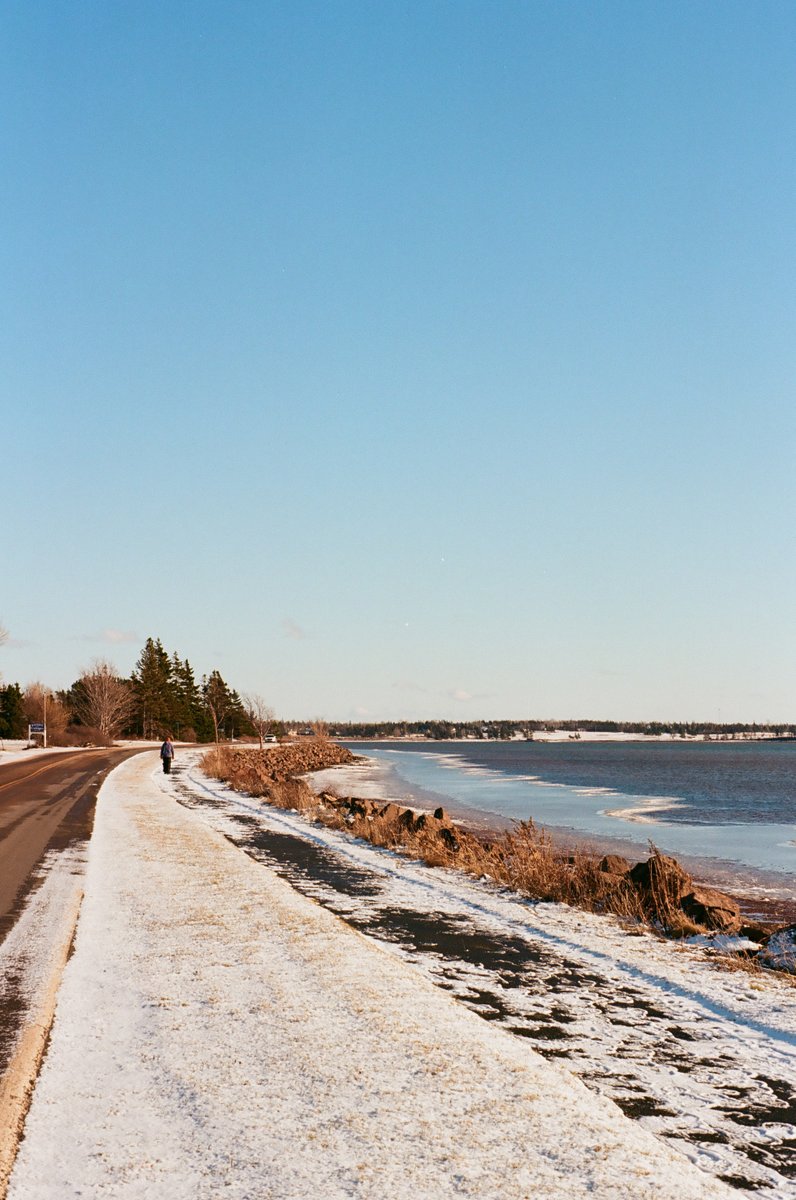 IslanderLeo's tweet image. Prince Edward Island on film in late December 📷
#PEI #PEIphotos