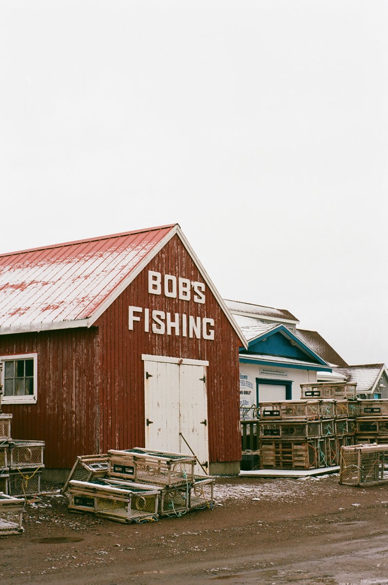 IslanderLeo's tweet image. Prince Edward Island on film in late December 📷
#PEI #PEIphotos