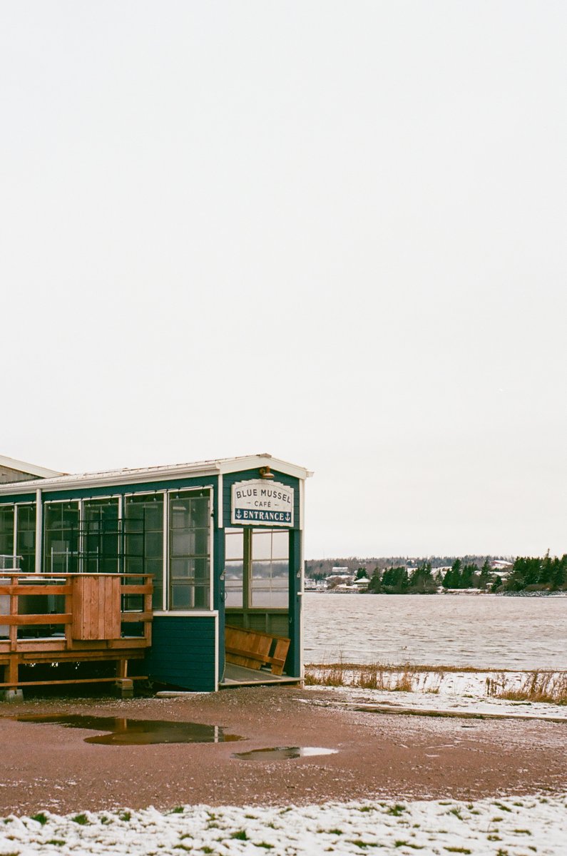 IslanderLeo's tweet image. Prince Edward Island on film in late December 📷
#PEI #PEIphotos