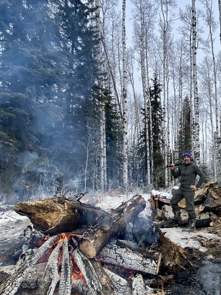 David Brown tweet media