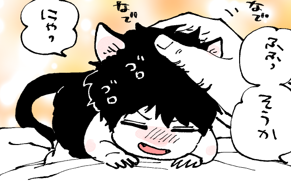 🐱キラキラにゃんこ生活
なでなでゴロゴロ😻