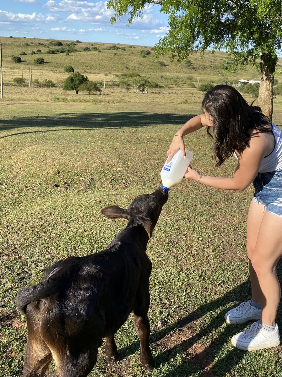 muitohumildee's tweet photo. Quando conheci minha namorada a gente conversava muito sobre a vontade de comprar um sítio pra fugir da confusão da cidade grande 

6 meses de namoro e compramos nosso 1 sítio (15 hectares). Casal que trabalha junto constrói junto ❤️ https://t.co/KnykjBw8kI