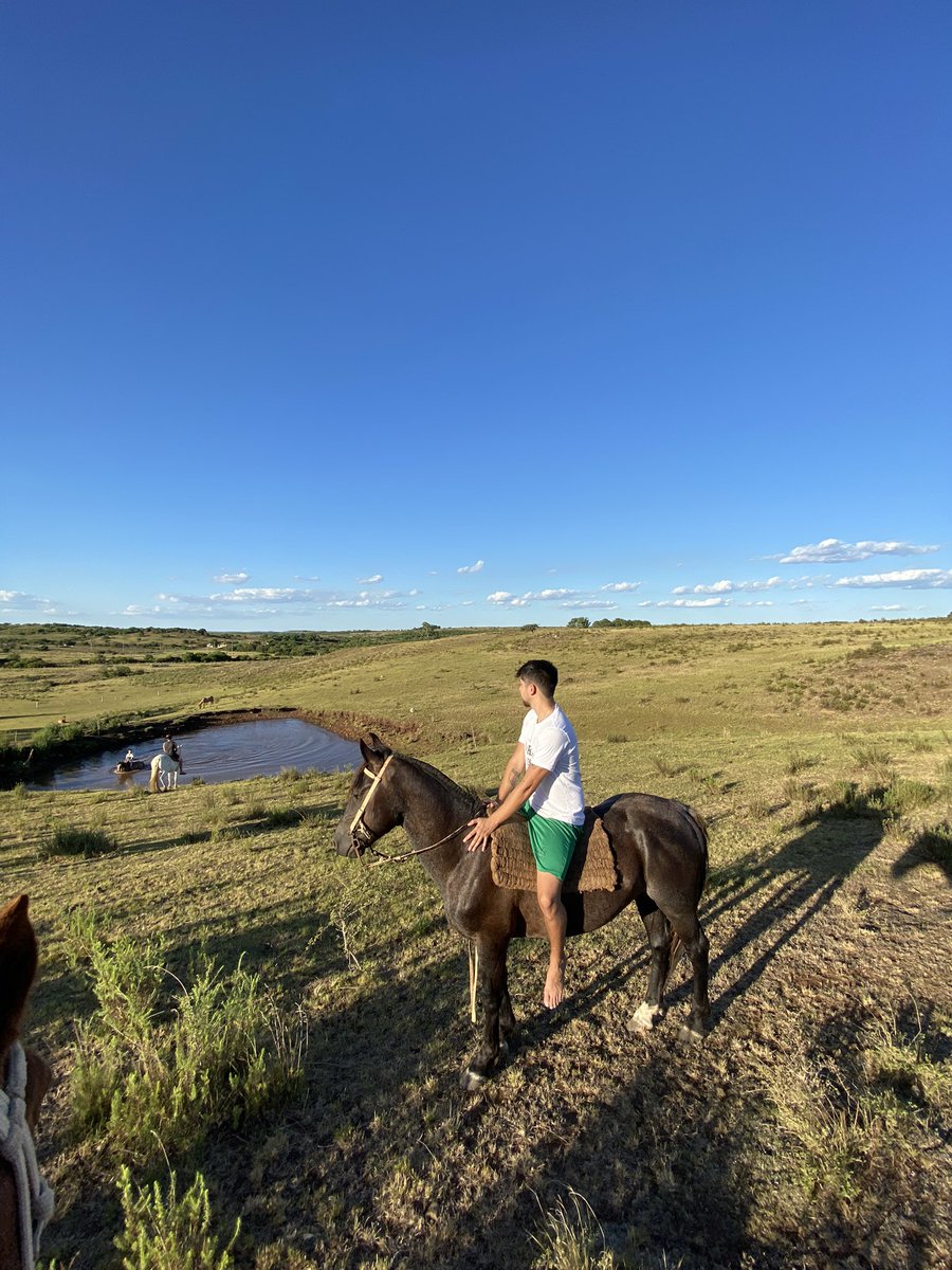 muitohumildee's tweet photo. Quando conheci minha namorada a gente conversava muito sobre a vontade de comprar um sítio pra fugir da confusão da cidade grande 

6 meses de namoro e compramos nosso 1 sítio (15 hectares). Casal que trabalha junto constrói junto ❤️ https://t.co/KnykjBw8kI