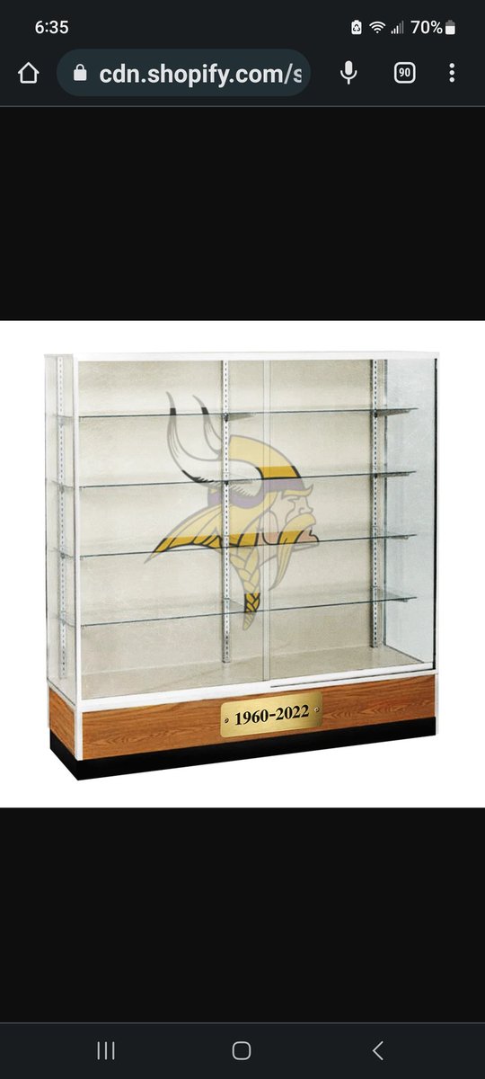 TamieW's tweet photo. Vikings Super Bowl Trophy Case 🤣 @EvelDick https://t.co/yaa5GgyZ1f