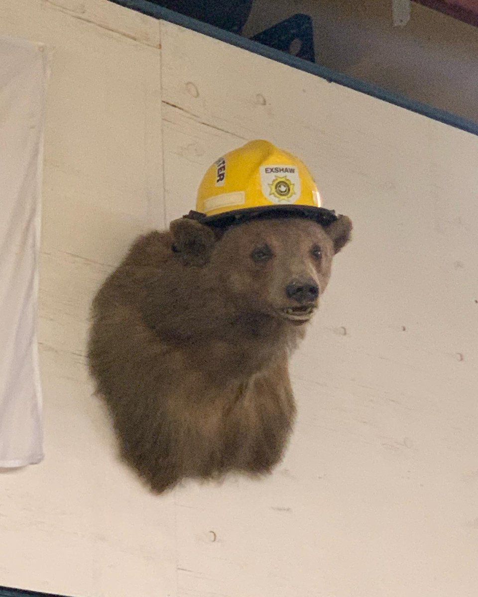 chiefcoutts's tweet photo. Not every day is fun or easy but today was a great day.  Visiting three more #firehalls in the #mdofbighorn #exahaw #ghostriver #jamiesonroad  All in amazing locations, all with some of #Canadas best firehall views. Great people doing great work for their regions. https://t.co/sGEIGki4Dl