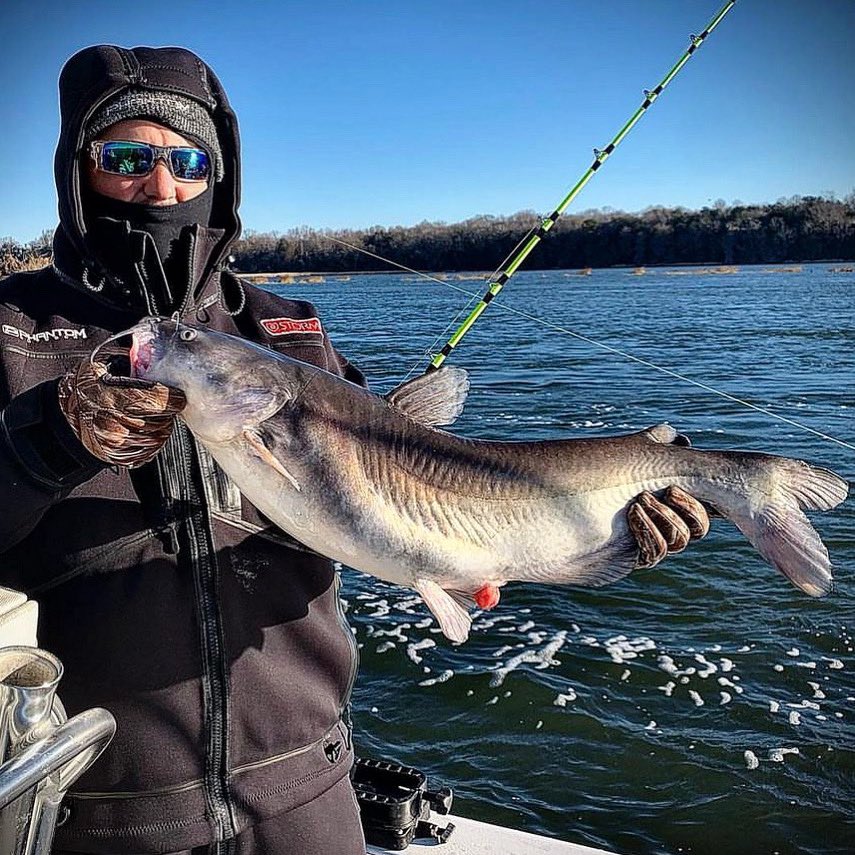 Viciousfishing's tweet photo. What an awesome winter time catfish!!! #fishing #winterfishing #catfish #getvicious https://t.co/6W6YL4IT0Z