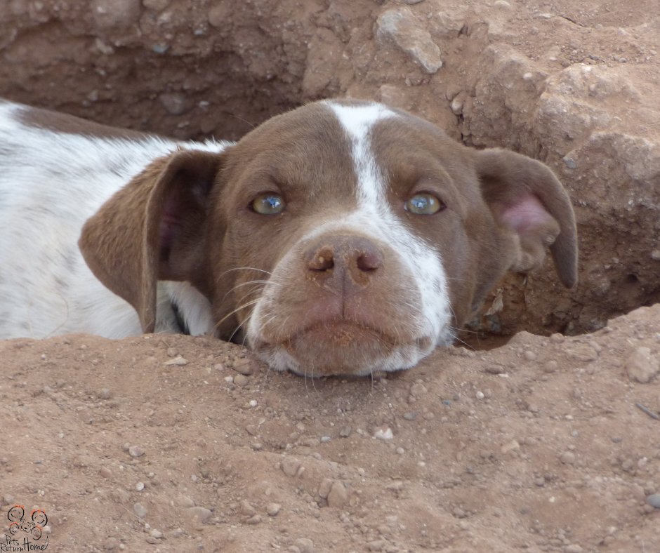 Saving Lives tweet media