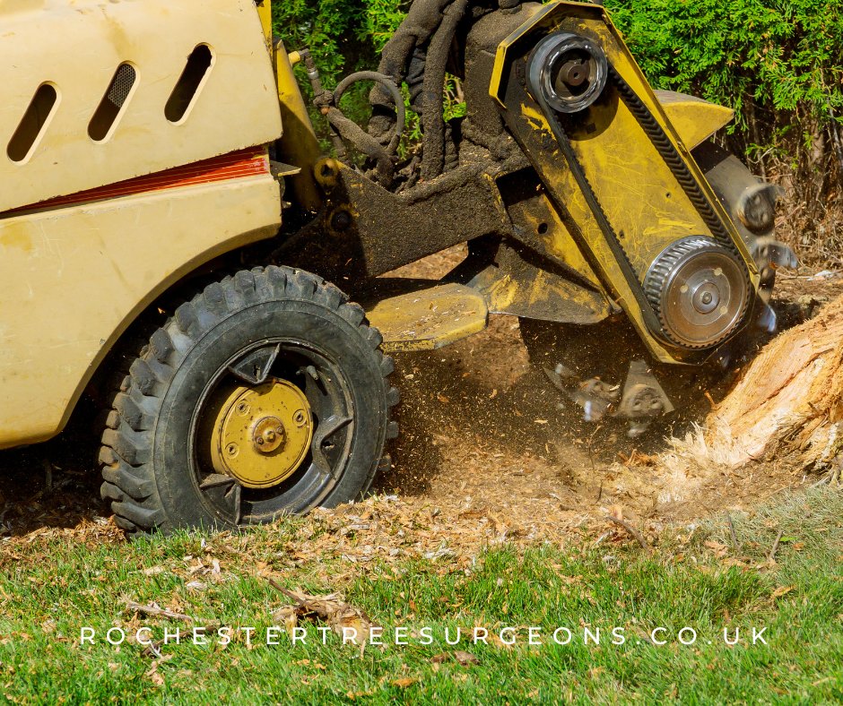 rochester_tree's tweet image. You spend your money on your tree problems, so that Rochester Tree Surgeons can solve your tree problems, for your tree cutting, stump grinding, and other tree surgery services!
#treeservices #treecutting #treeproblems