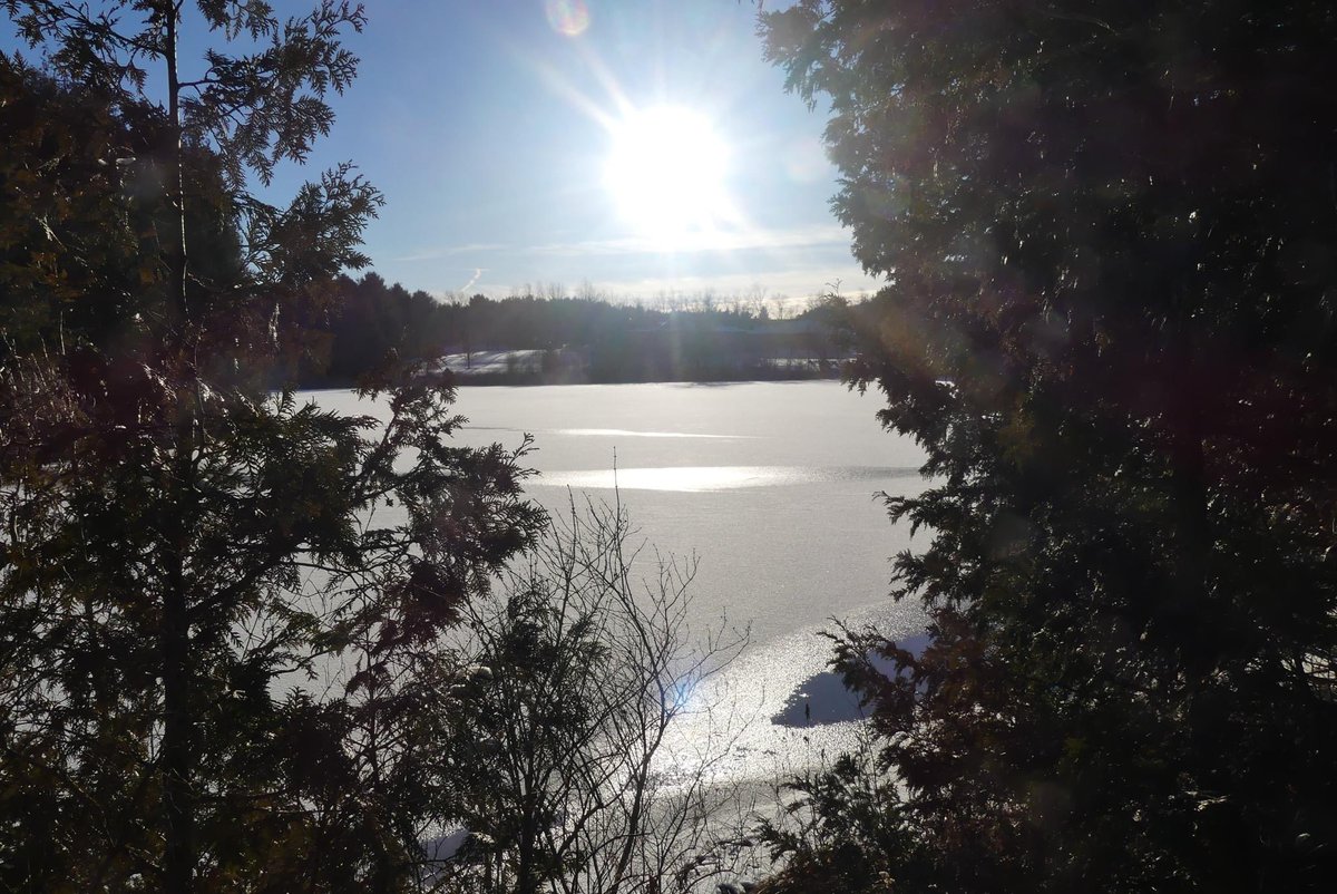 Linda Lee tweet media