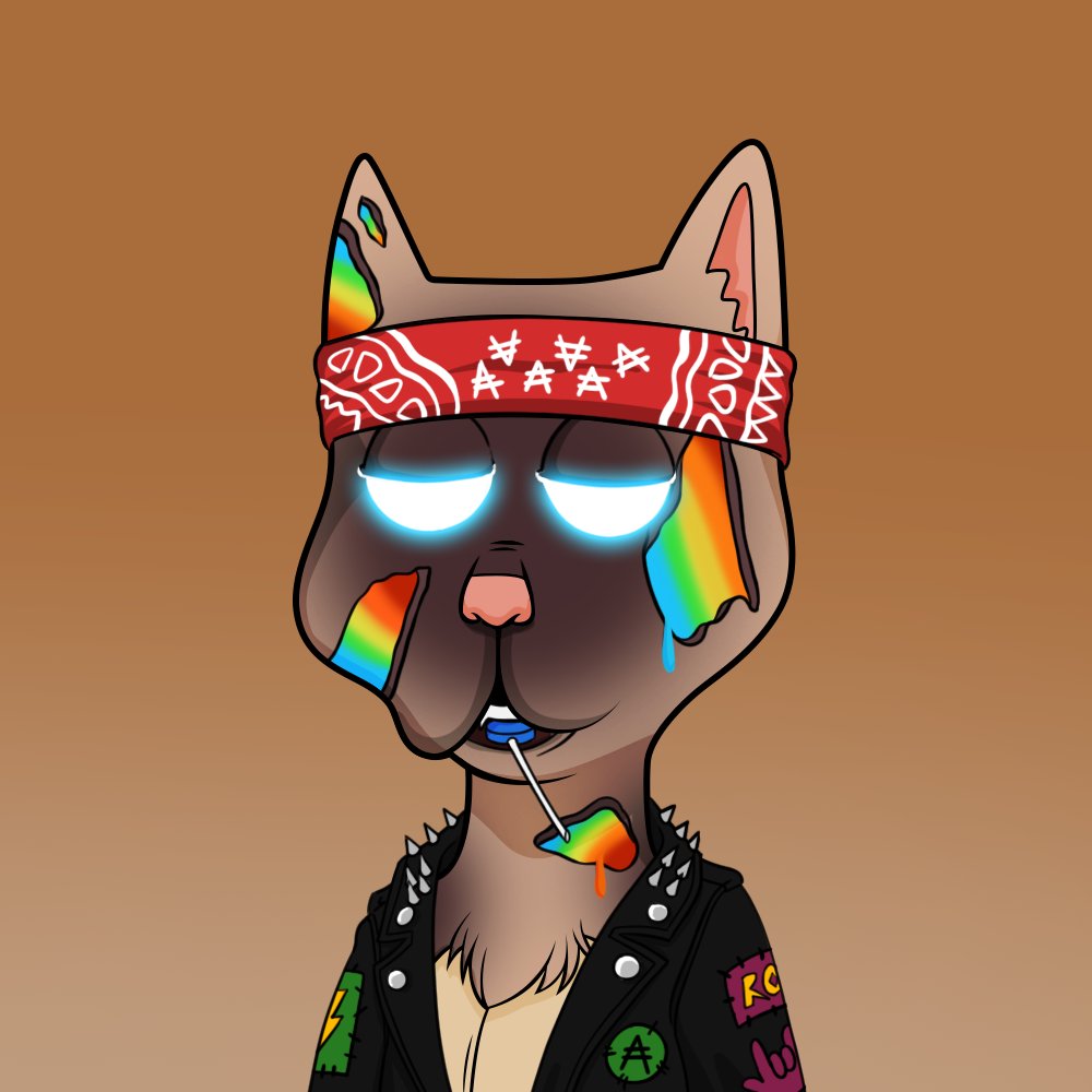 #NewProfilePic
<a href="/BossCatRC/">Boss Cat Rocket Club</a>

Ayooooo....

Do cats still follow cats???

How am I under 1000 followers?

LFGGGG 
🐈‍⬛️👽🚀🐈👽🚀🐈‍⬛️👽🚀