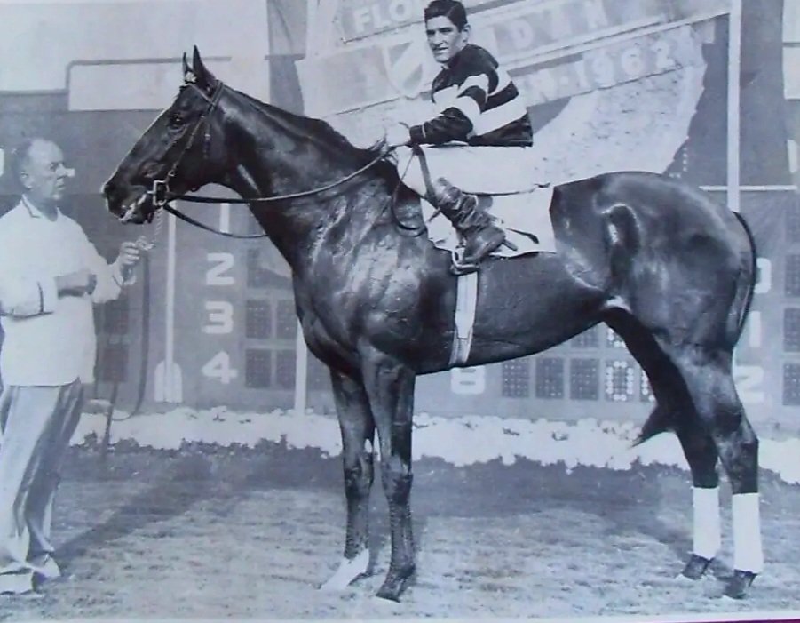 HORSERACING1002's tweet photo. RIDAN 🇺🇸1959
(NANTALLAH - ROUGH SHOD BY GOLD BRIDGE)#Ridan
B/ @claibornefarm 
O/ Moody Jolley
T/ Leroy Jolley
23-13-6-2---$635,074 1961 Champion 2yo Colt. 
Washington Park Futurity, Hyde Parks S, Arlington Futurity, Praire S, Florida Derby, Hibiscus S, Arlington Classic, https://t.co/MmxESLuYyo