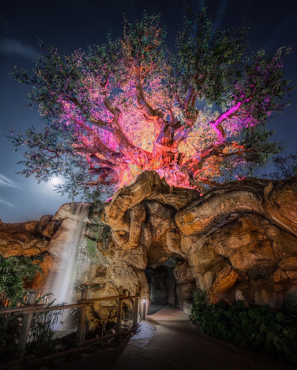 somewareatdiz's tweet image. My favorite photo that I’ve taken of each Disney World icon