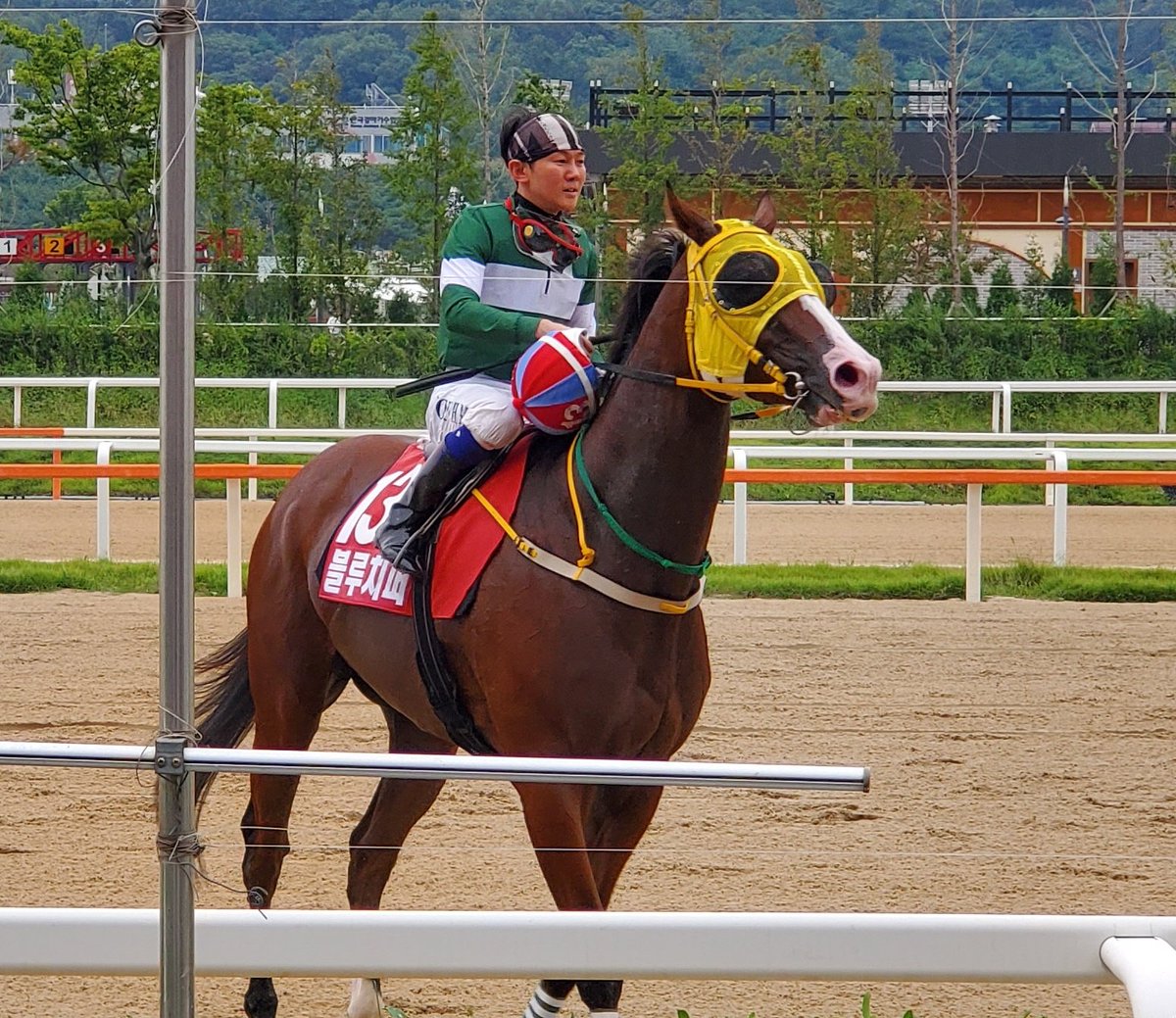 ljh9169's tweet photo. ブルチ(2019コリアスプリント)

#韓国競馬
#KoreaSprint
#블루치퍼
#BlueChipper https://t.co/eszxLPF9ar