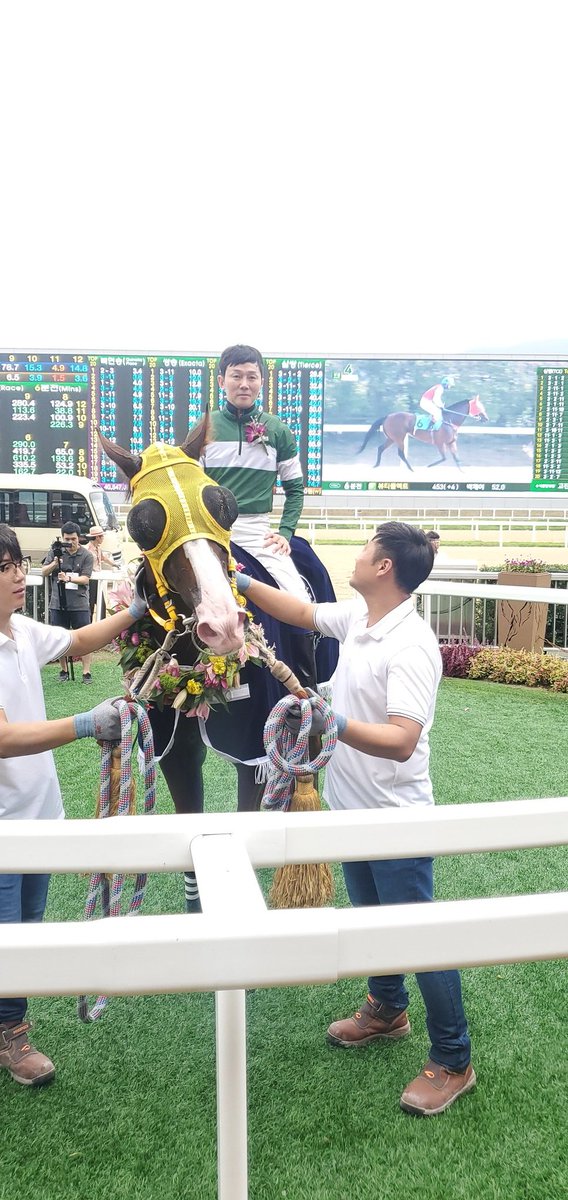 ljh9169's tweet photo. ブルチ(2019コリアスプリント)

#韓国競馬
#KoreaSprint
#블루치퍼
#BlueChipper https://t.co/eszxLPF9ar