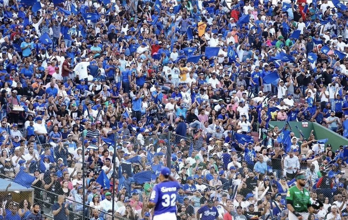 LIDOM Memes tweet media