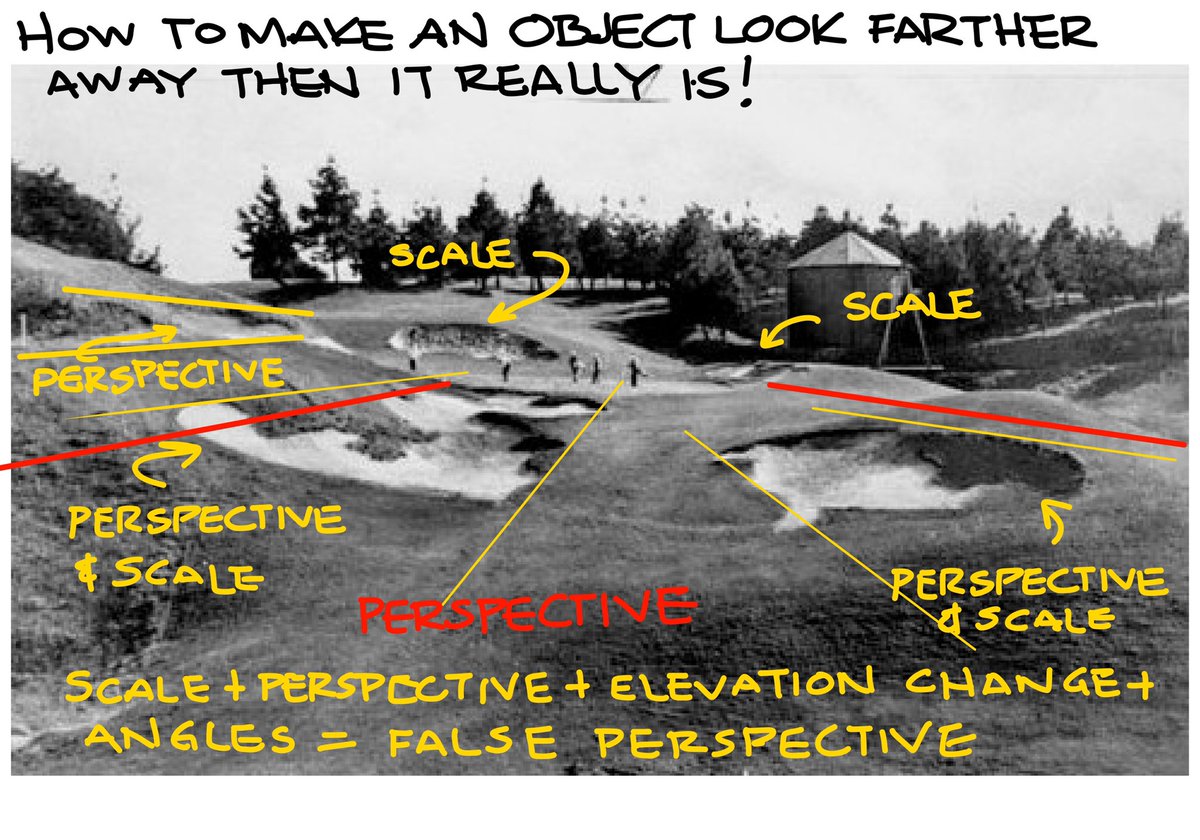 Tommy Naccarato tweet media