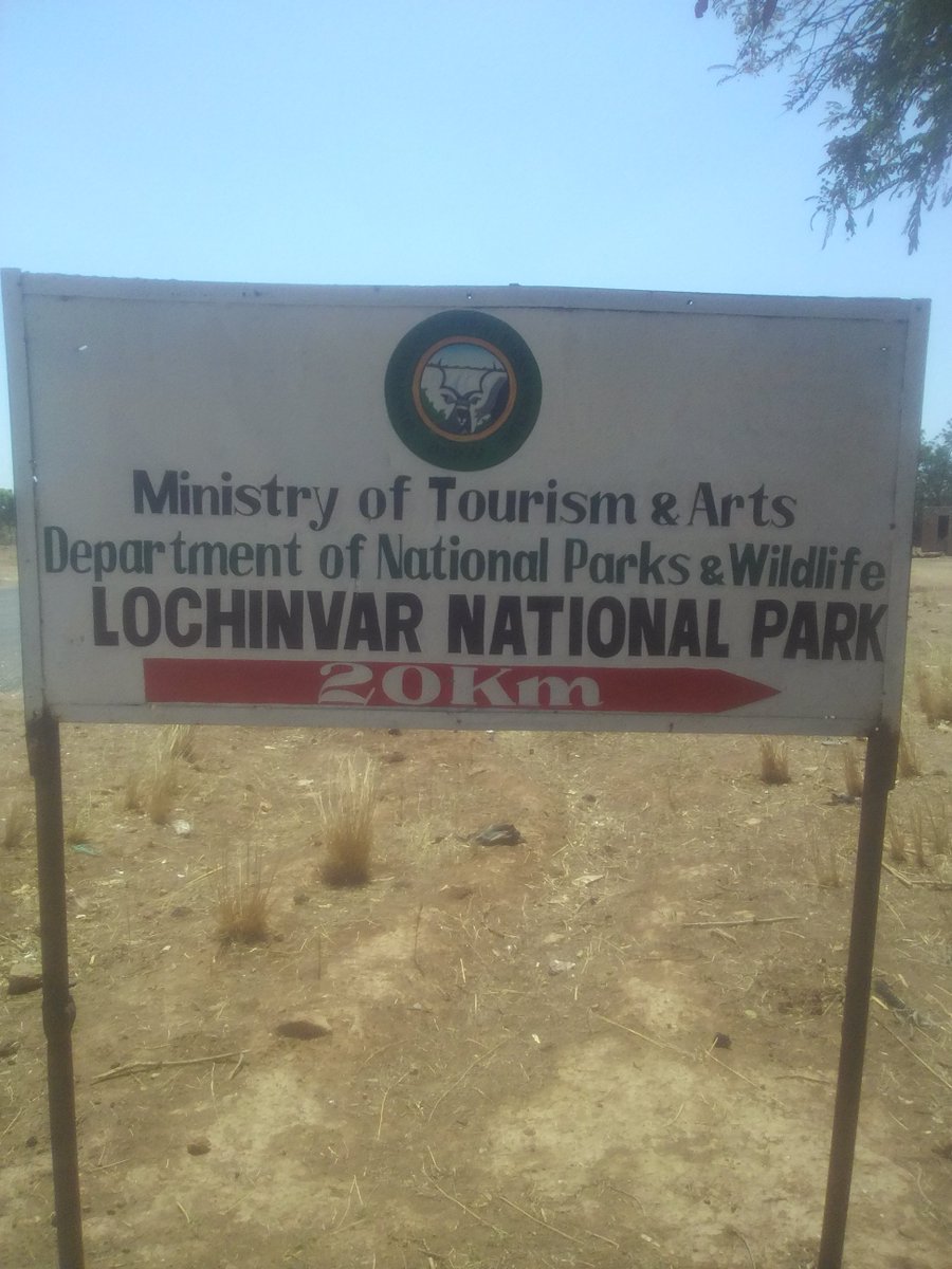 nahubwe's tweet photo. The best time to visit one of #Zambia’s best #birding destination kept secret, the #Lochinvar National Park is in the dry season (July to October). By then most inroads will be dry.

Email: lochinvarsafarilodge@gmail.com
Cell/WhatsApp: +260955361449
#SafariExperience, #ecotourism https://t.co/AeczZEHQfT
