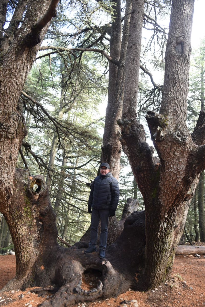 fadimghanem's tweet photo. "If you cannot do great things, do small things in a great way."
Good #morning #friends, have a nice day :)
#LCI #IUCN #WeServe #LIONS #D351 #LEBANON #JORDAN #PALESTINE #GhadiNews #GHADI #ALTHAER https://t.co/hcG4nLXxh8