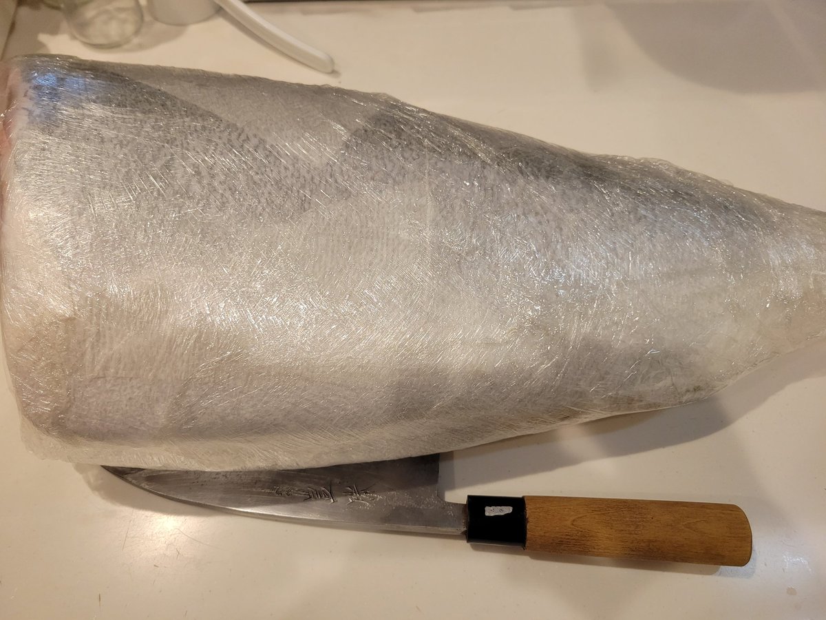 musxKyoOxOnwQ1O's tweet photo. 寒ブリ12キロを３日間熟成し、お刺身と鰤しゃぶしゃぶ🐟️やっぱり10キロ超えて本当の「鰤」です！最高～🐰
#釣り #ジギング #寒ブリ #魚料理 https://t.co/iQXaiXJ5iC
