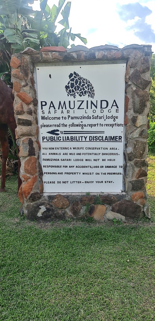 SlickAllos's tweet image. #WeekendDump