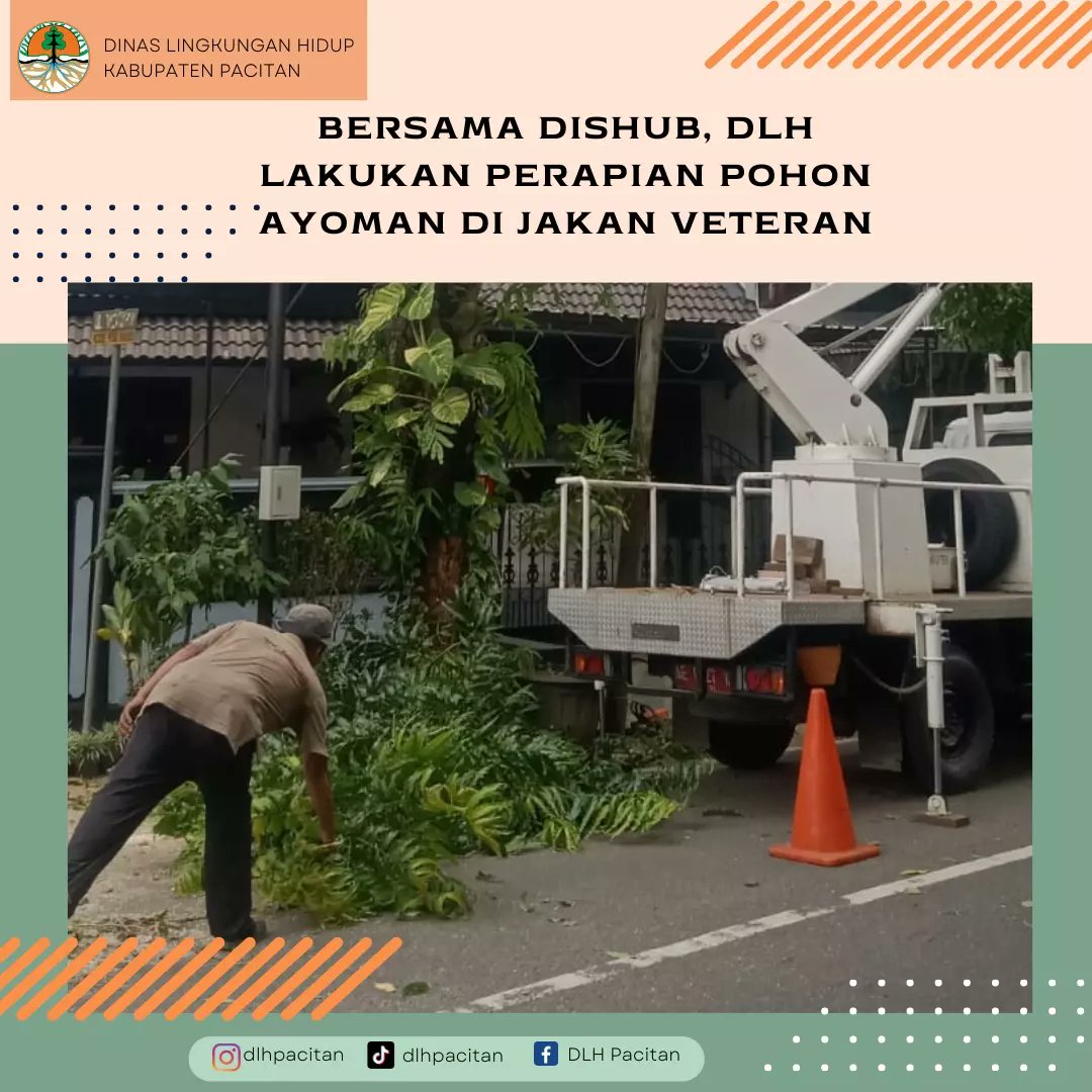 dlhpacitan's tweet photo. Perapian Pohon Ayom di sepanjang Jalan Veteran, kerjasama dengan Dishub https://t.co/fHyTE2XwRJ