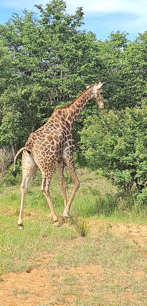 SlickAllos's tweet image. #WeekendDump