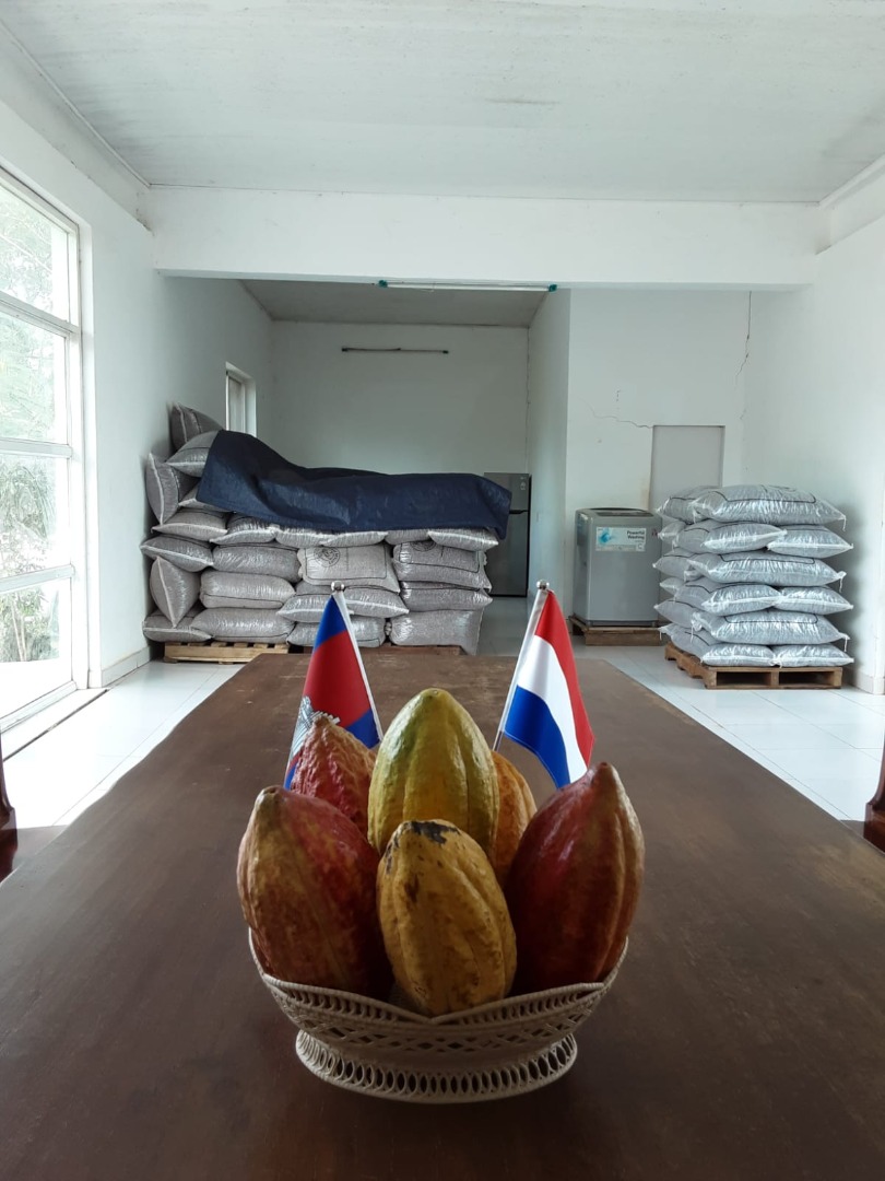 kamkavfarm's tweet photo. Did you know that the two founders of Kamkav Farm are from Cambodia and the Netherlands? And that they started the first cacao farm in the history of Cambodia?

#nursery #cacao #cacaofarm #cacaobeans #cacaoservices #cacaofarming #cocoa #cocoafarm #cocoaservices #cocoafarming https://t.co/ZsEMJLadPD