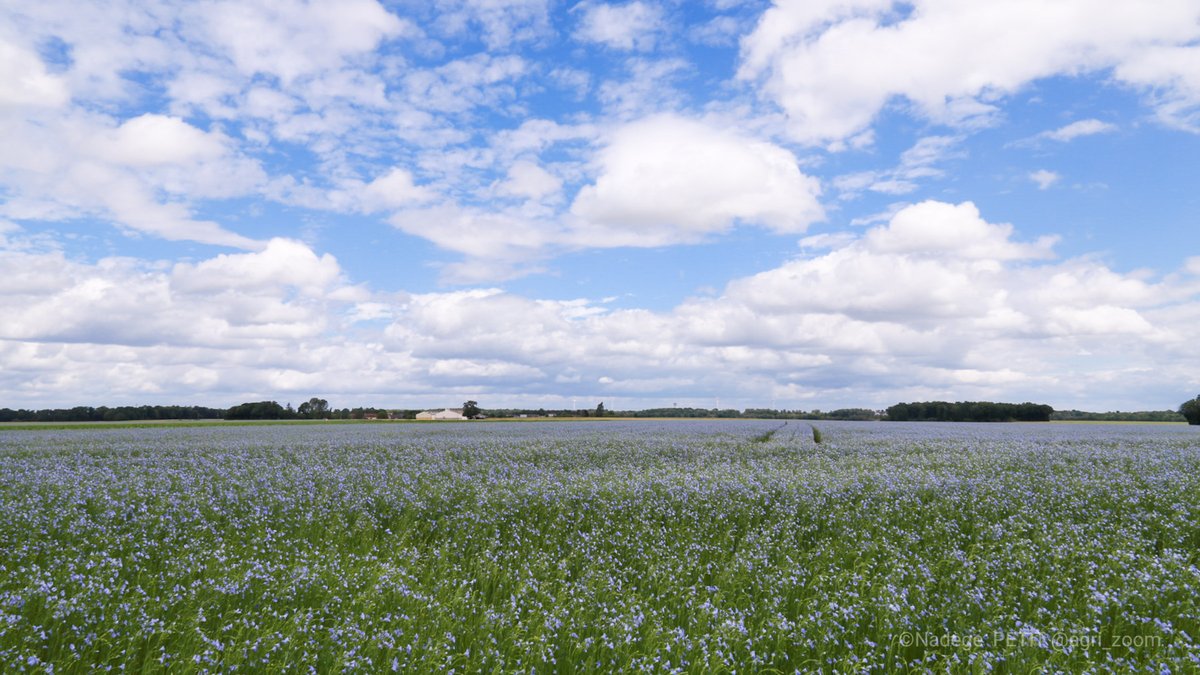 Nadège PETIT 👩‍🌾 tweet media