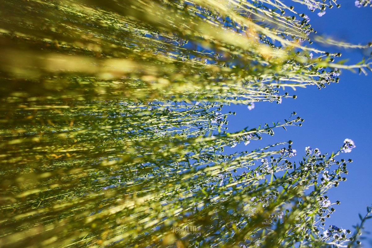 Nadège PETIT 👩‍🌾 tweet media