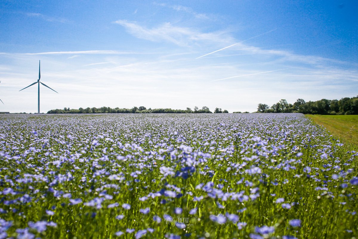 Nadège PETIT 👩‍🌾 tweet media